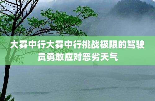 大雾中行大雾中行挑战极限的驾驶员勇敢应对恶劣天气