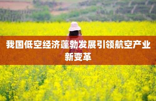 我国低空经济蓬勃发展引领航空产业新变革
