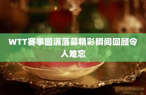 WTT赛事圆满落幕精彩瞬间回顾令人难忘