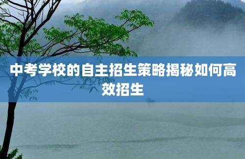 中考学校的自主招生策略揭秘如何高效招生