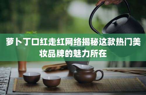 萝卜丁口红走红网络揭秘这款热门美妆品牌的魅力所在