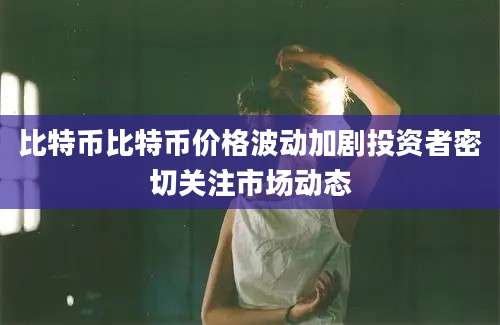比特币比特币价格波动加剧投资者密切关注市场动态