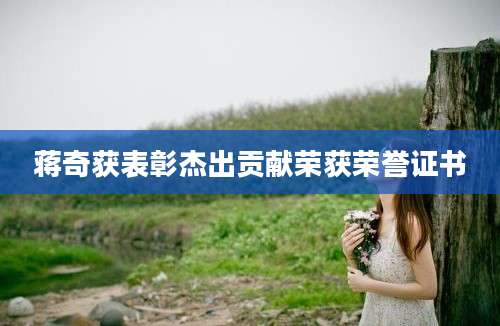 蒋奇获表彰杰出贡献荣获荣誉证书