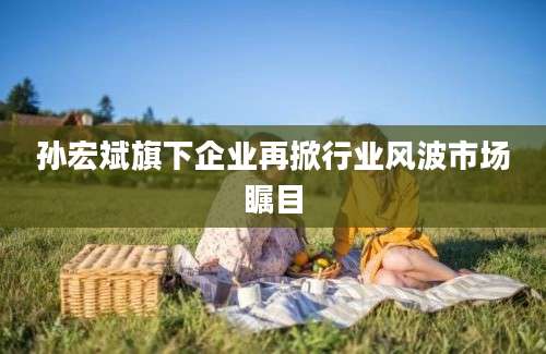 孙宏斌旗下企业再掀行业风波市场瞩目