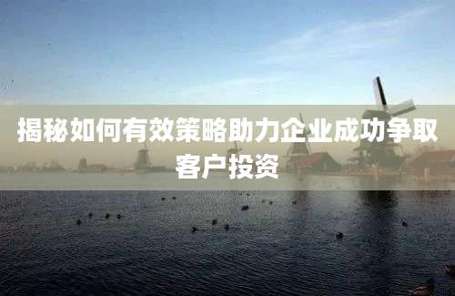 揭秘如何有效策略助力企业成功争取客户投资