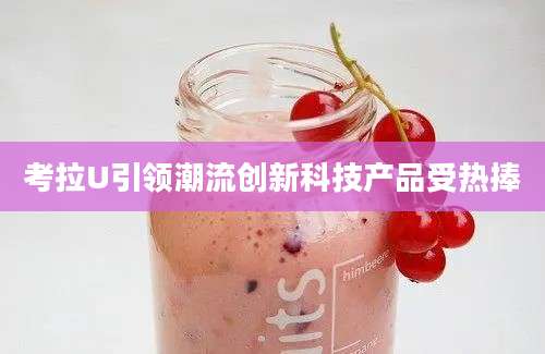 考拉U引领潮流创新科技产品受热捧