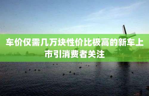 车价仅需几万块性价比极高的新车上市引消费者关注