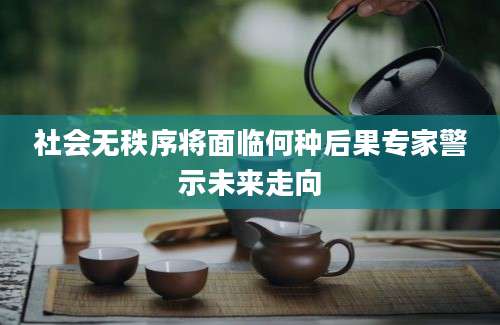 社会无秩序将面临何种后果专家警示未来走向