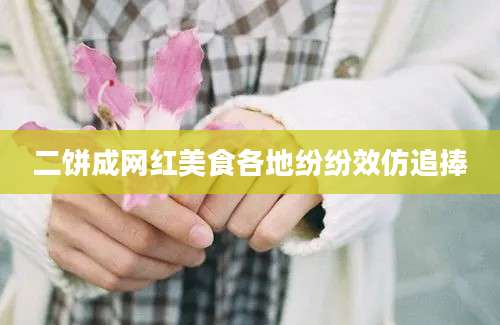 二饼成网红美食各地纷纷效仿追捧