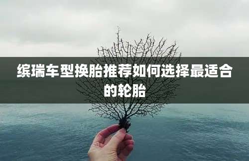 缤瑞车型换胎推荐如何选择最适合的轮胎