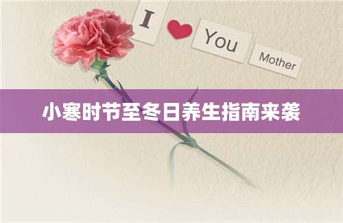 小寒时节至冬日养生指南来袭
