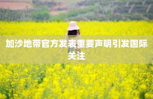 加沙地带官方发表重要声明引发国际关注
