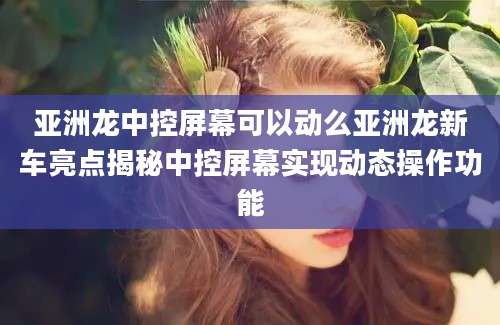 亚洲龙中控屏幕可以动么亚洲龙新车亮点揭秘中控屏幕实现动态操作功能