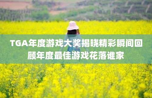 TGA年度游戏大奖揭晓精彩瞬间回顾年度最佳游戏花落谁家