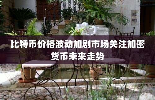 比特币价格波动加剧市场关注加密货币未来走势