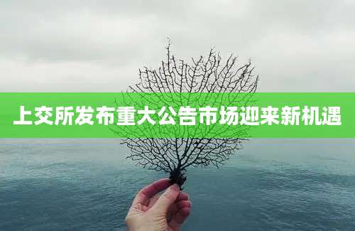 上交所发布重大公告市场迎来新机遇