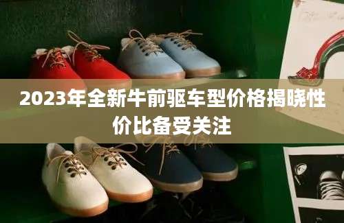 2023年全新牛前驱车型价格揭晓性价比备受关注