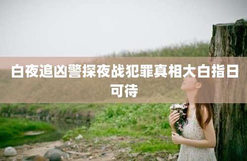 白夜追凶警探夜战犯罪真相大白指日可待