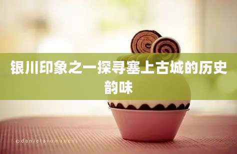 银川印象之一探寻塞上古城的历史韵味