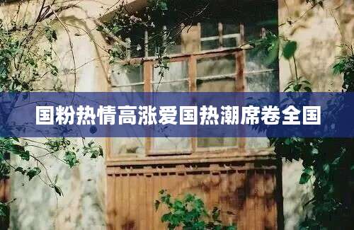 国粉热情高涨爱国热潮席卷全国