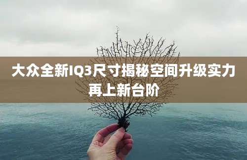 大众全新IQ3尺寸揭秘空间升级实力再上新台阶