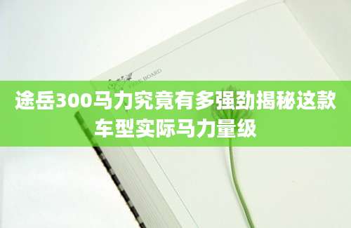 途岳300马力究竟有多强劲揭秘这款车型实际马力量级