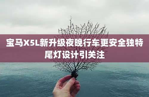 宝马X5L新升级夜晚行车更安全独特尾灯设计引关注