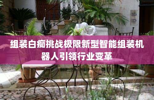 组装白痴挑战极限新型智能组装机器人引领行业变革