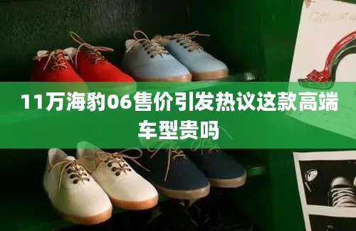 11万海豹06售价引发热议这款高端车型贵吗