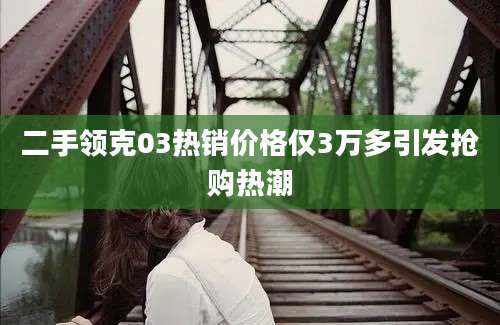 二手领克03热销价格仅3万多引发抢购热潮