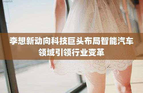 李想新动向科技巨头布局智能汽车领域引领行业变革