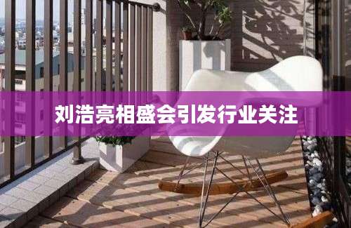 刘浩亮相盛会引发行业关注