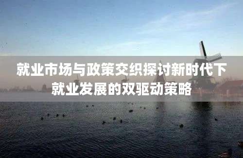 就业市场与政策交织探讨新时代下就业发展的双驱动策略