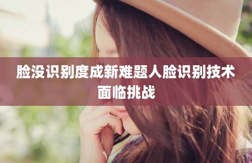 脸没识别度成新难题人脸识别技术面临挑战