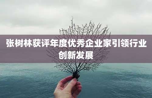 张树林获评年度优秀企业家引领行业创新发展
