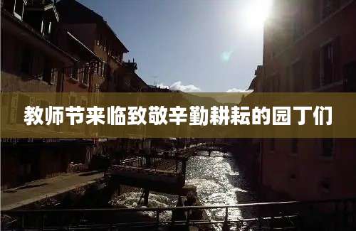 教师节来临致敬辛勤耕耘的园丁们