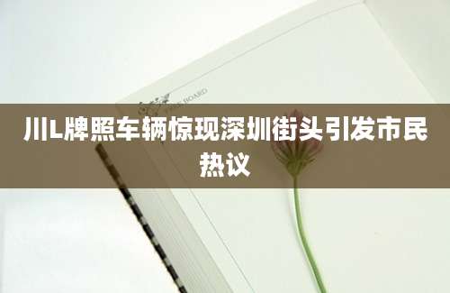 川L牌照车辆惊现深圳街头引发市民热议