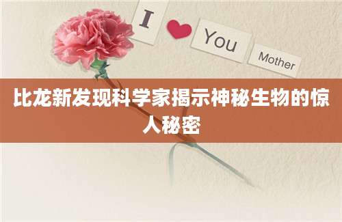 比龙新发现科学家揭示神秘生物的惊人秘密