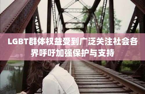 LGBT群体权益受到广泛关注社会各界呼吁加强保护与支持