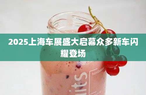 2025上海车展盛大启幕众多新车闪耀登场