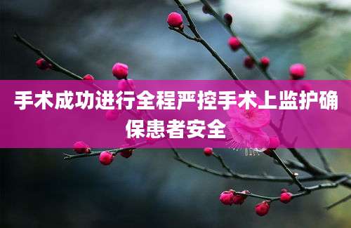 手术成功进行全程严控手术上监护确保患者安全