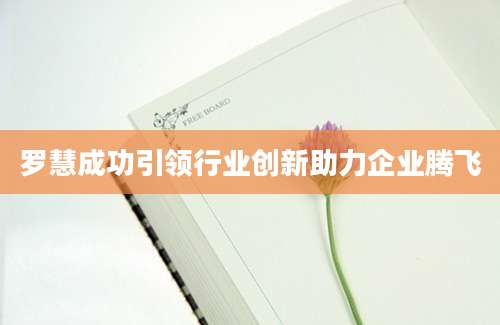 罗慧成功引领行业创新助力企业腾飞