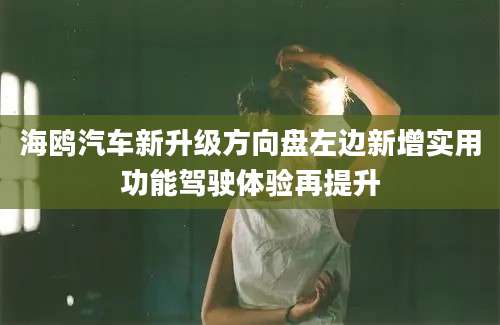 海鸥汽车新升级方向盘左边新增实用功能驾驶体验再提升