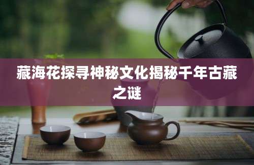 藏海花探寻神秘文化揭秘千年古藏之谜