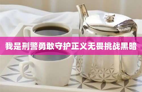 我是刑警勇敢守护正义无畏挑战黑暗