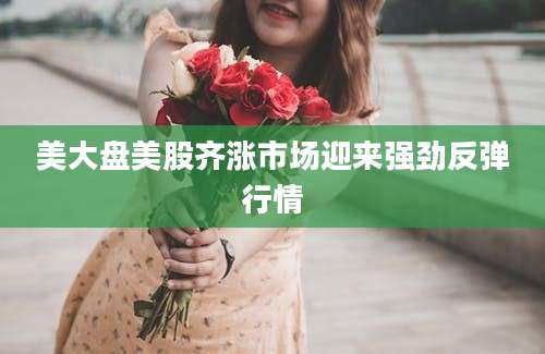 美大盘美股齐涨市场迎来强劲反弹行情