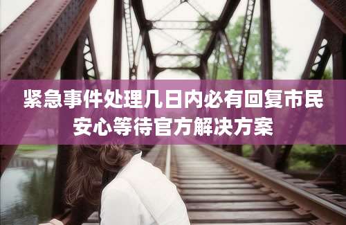 紧急事件处理几日内必有回复市民安心等待官方解决方案