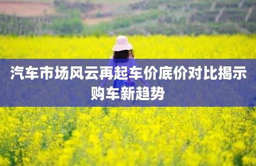 汽车市场风云再起车价底价对比揭示购车新趋势