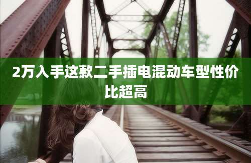 2万入手这款二手插电混动车型性价比超高