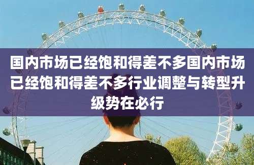 国内市场已经饱和得差不多国内市场已经饱和得差不多行业调整与转型升级势在必行
